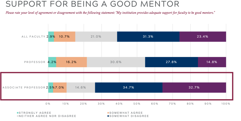 Support for Being a Good Mentor chart